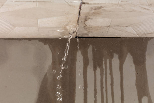 Professional Water Damage Inspection technician working in Murphy, TX